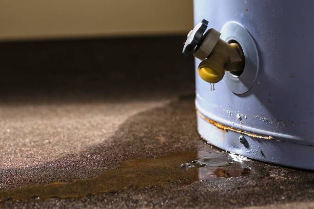 Best Fire Damage Restoration  in Brownfield, TX
