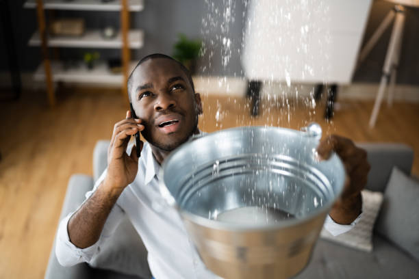 Best 24/7 water damage repair  in Brownfield, TX