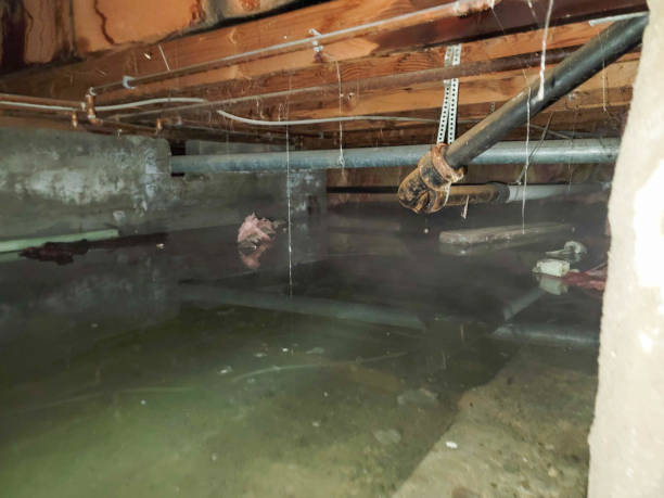 Water damage restoration process in Brownfield, TX