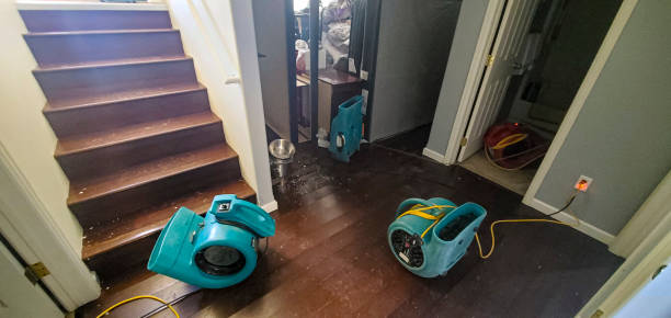 Best Water damage restoration cost  in Brownfield, TX