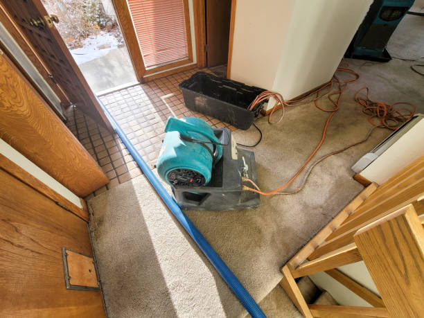 Best Water damage restoration experts  in Brownfield, TX