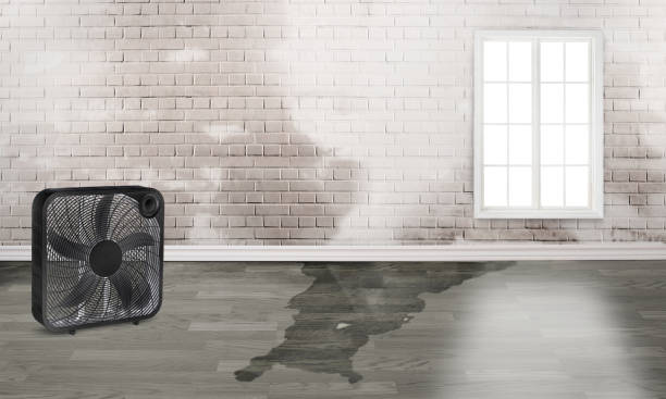 Fire Damage Restoration in Brownfield, TX