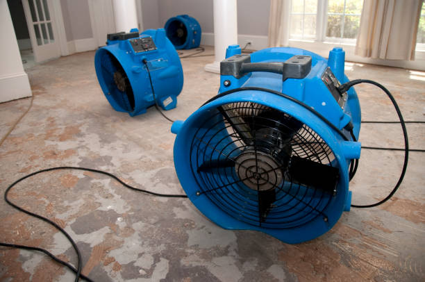 Best Water damage contractors near me  in Brownfield, TX