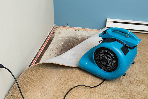 Best Flood damage cleanup  in Brownfield, TX